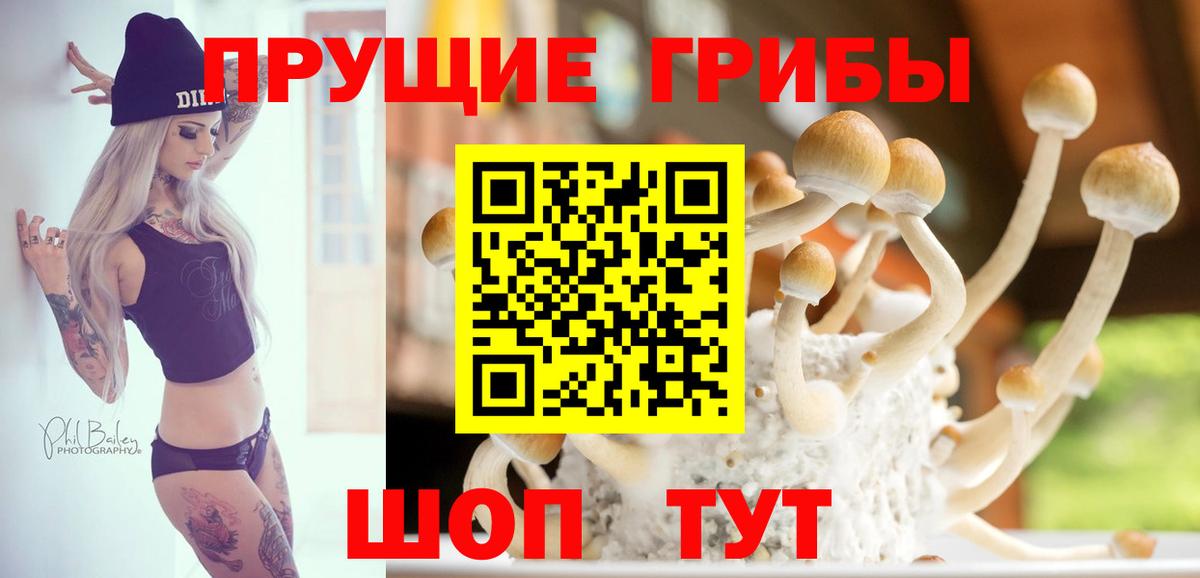 Псилоцибиновые грибы GOLDEN TEACHER  Вход с VPN  купить   Кузнецк 